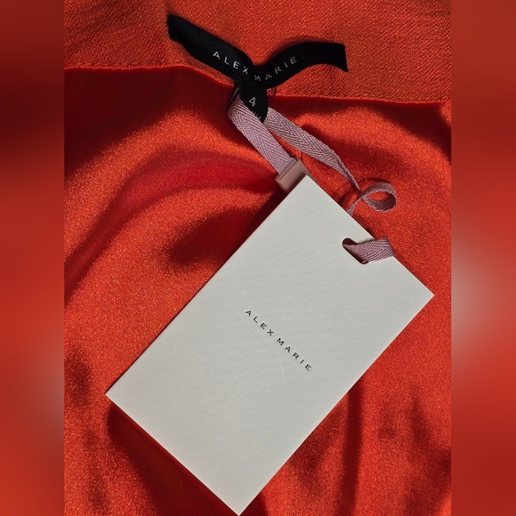 🤩Host Pick❤️NWT Alex Marie Enola Surplice Wrap Dress Women's Size 4 - Picture 8 of 11